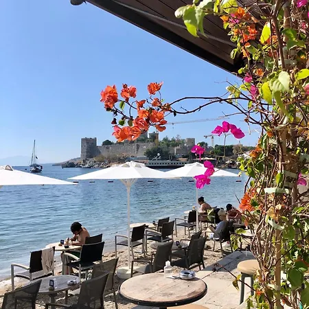 Surfer Caravan Gastro Pub Suites- Adults Only Bodrum