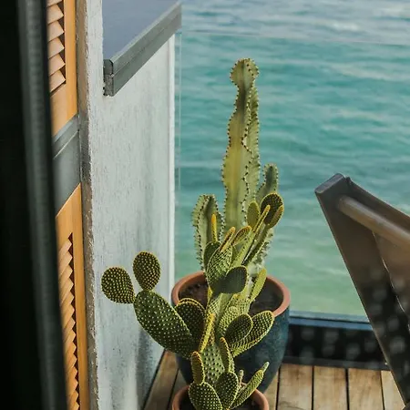 Surfer Caravan Gastro Pub Suites- Adults Only Apartament *