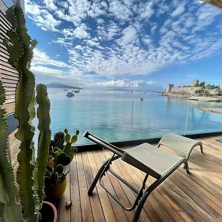 Surfer Caravan Gastro Pub Suites- Adults Only *