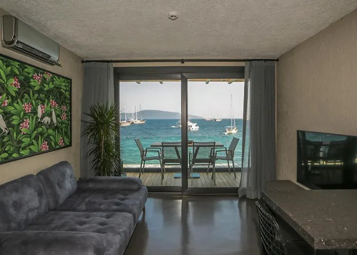 Surfer Caravan Gastro Pub Suites- Adults Only Apartment