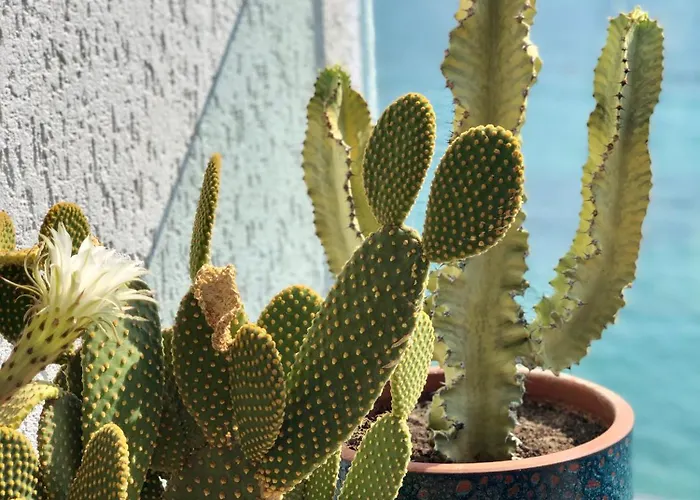 Surfer Caravan Gastro Pub Suites- Adults Only Apartment Bodrum