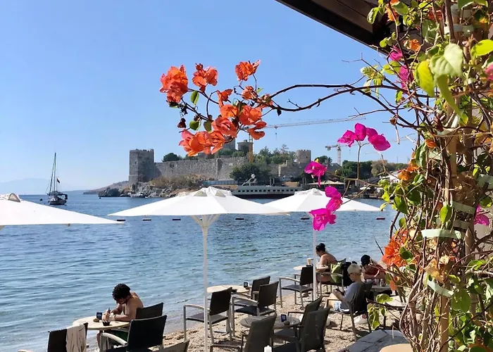 Surfer Caravan Gastro Pub Suites- Adults Only Bodrum