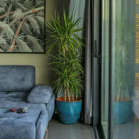 Surfer Caravan Gastro Pub Suites- Adults Only * Bodrum