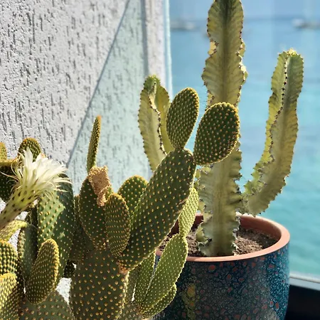 Surfer Caravan Gastro Pub Suites- Adults Only Appartamento Bodrum